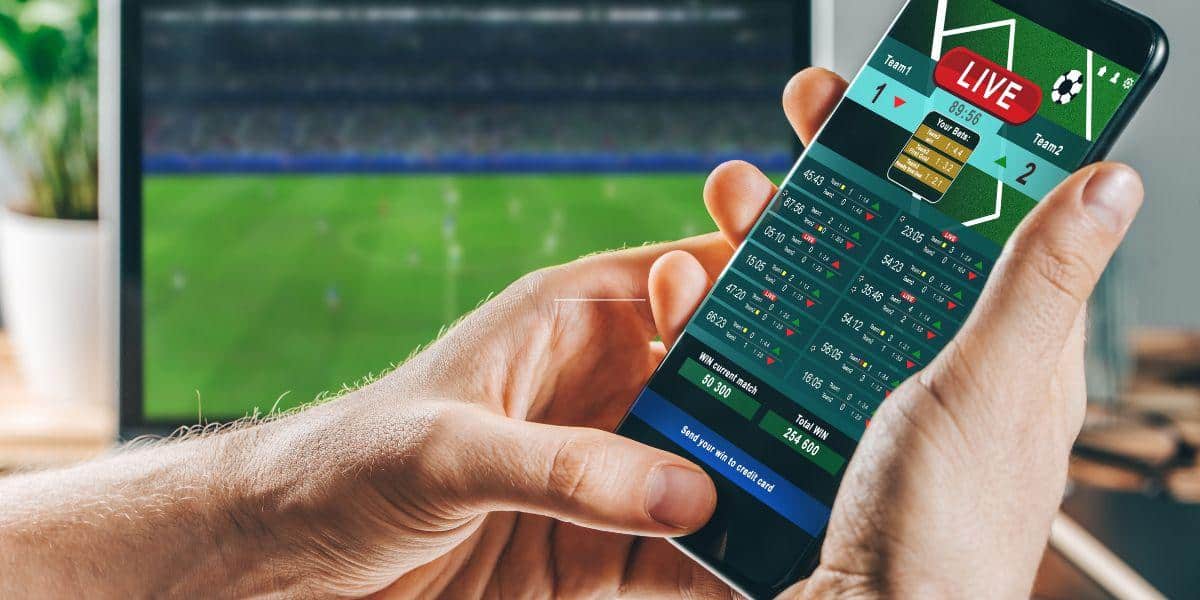 토토 먹튀사이트 피해예방 완벽 가이드